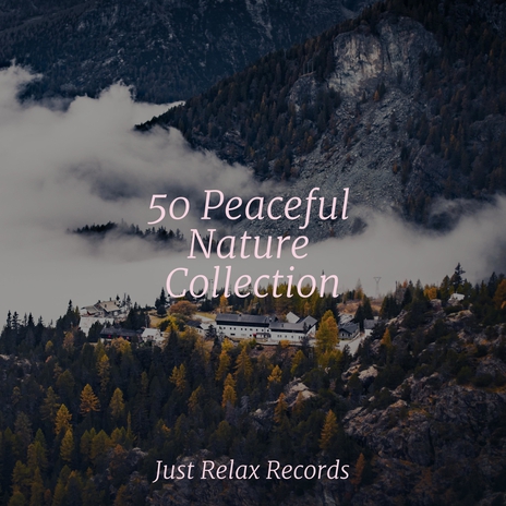 Enchanting Slumber Symphony ft. Lullabies for Deep Meditation & Meditation Awareness | Boomplay Music