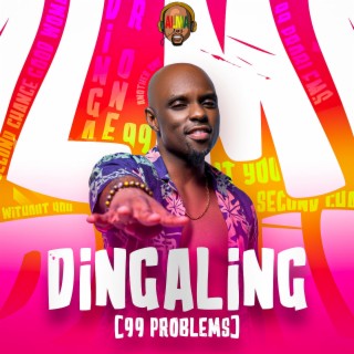 Dingaling/99 Problems lyrics | Boomplay Music