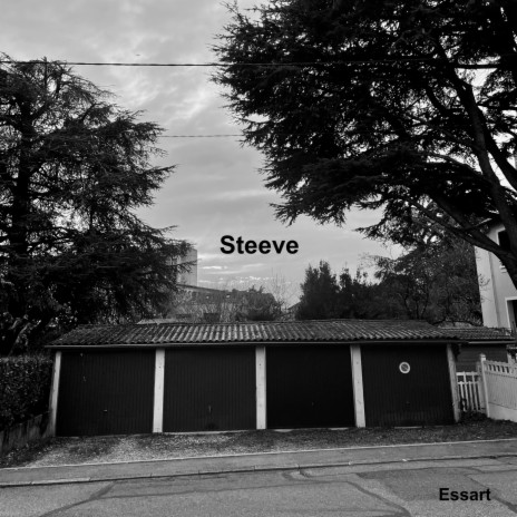 Steeve | Boomplay Music