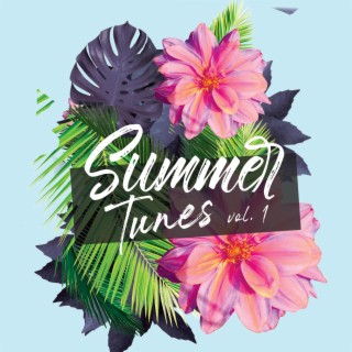 Summer Tunes vol. 1