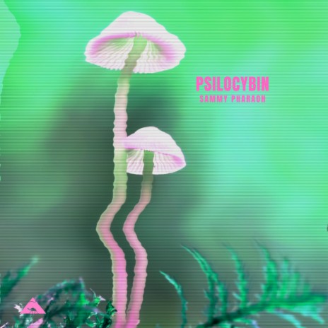 Psilocybin | Boomplay Music