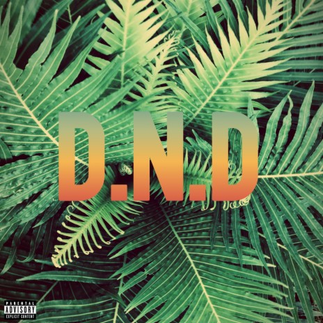 D.N.D | Boomplay Music