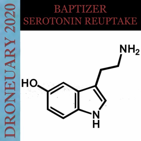 Serotonin Reuptake | Boomplay Music