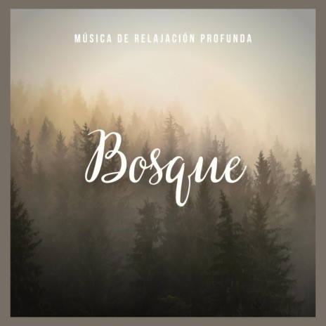 Música de Relajación Profunda: Bosque, Pt. 44 | Boomplay Music