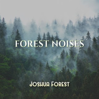 Forest Noises: Miracle Healing, Meditation, Relaxation, Mind and Body Health Therapy