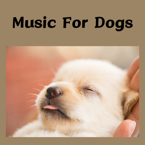 Ambient Dog Sleep ft. Music For Dogs, Relaxing Puppy Music & Calm Pets Music Academy | Boomplay Music