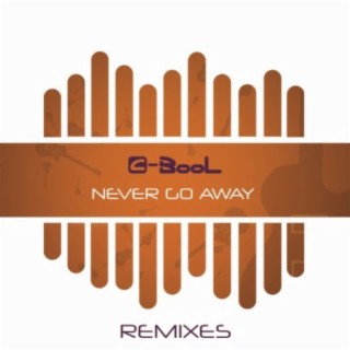 Never Go Away (Remixes)