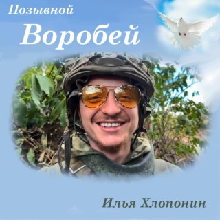 Позывной воробей