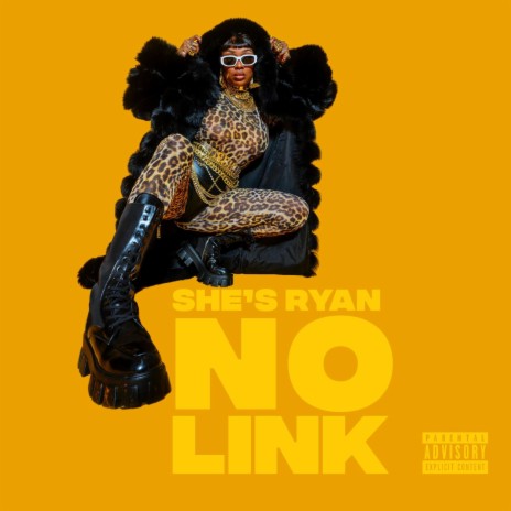 No Link | Boomplay Music