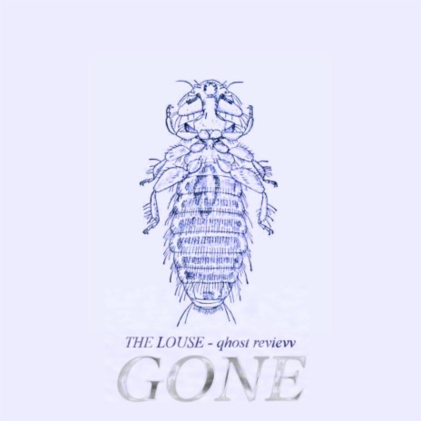 gone | Boomplay Music