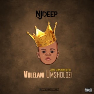 Vulelani Umsholozi (feat. Yamazaytion)