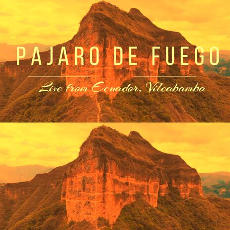 Pajaro de Fuego (Live from Ecuador) | Boomplay Music