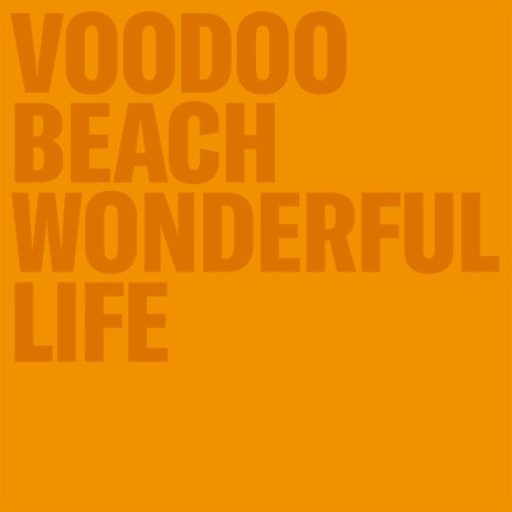 Wonderful Life ft. John Moods