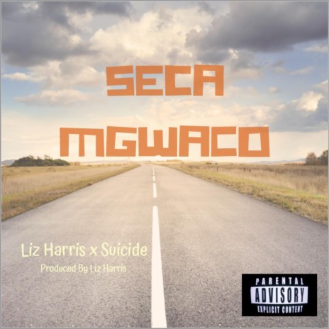 Seca Mgwaco (feat. Liz Harris)