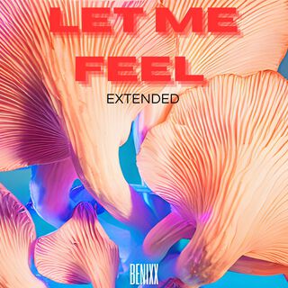 Let Me Feel Extended