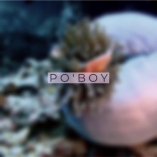 P O ' B O Y