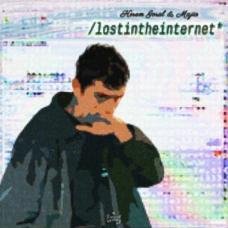 lostintheinternet