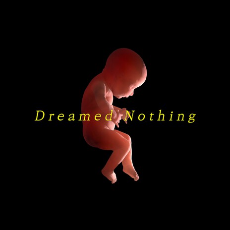 Dreamed Nothing | Boomplay Music