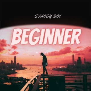 Beginner