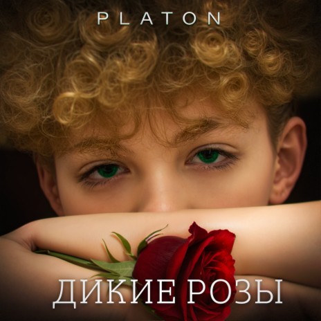 ДИКИЕ РОЗЫ | Boomplay Music