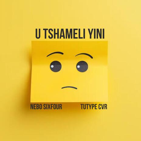 U TSHAMELI YINI ft. Tutype cvr | Boomplay Music