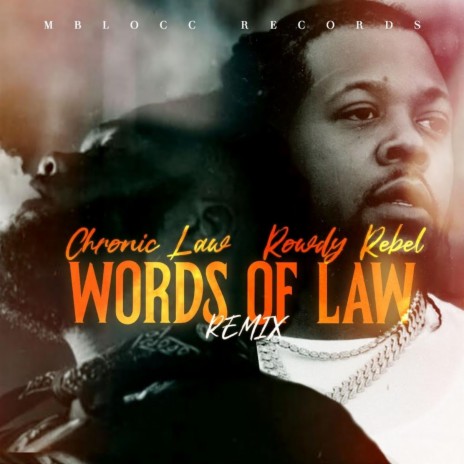 Words Of Law Remix ft. Chronic Law