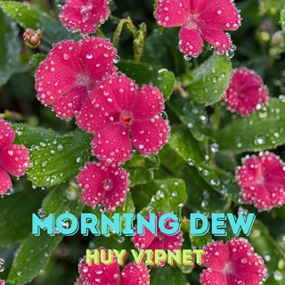 Morning Dew