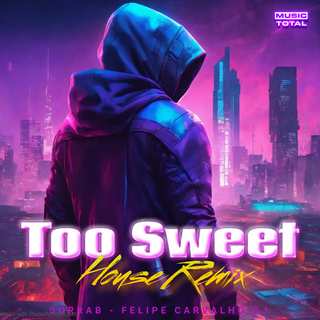 Too Sweet (House Remix)