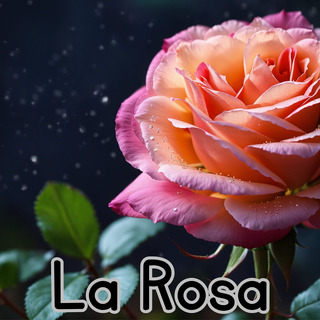 La Rosa