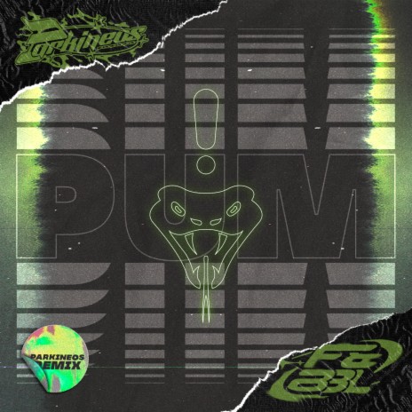 PUM (Parkineos Remix) | Boomplay Music