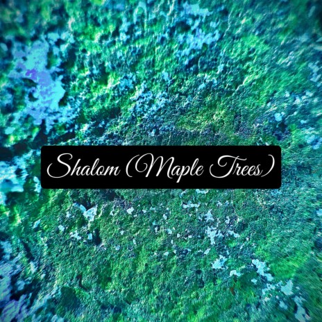 Shalom (Maple Trees)