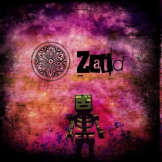 Zaid lyrics | Boomplay Music