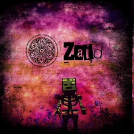 Zaid | Boomplay Music