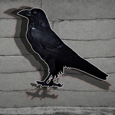 Crow | Boomplay Music