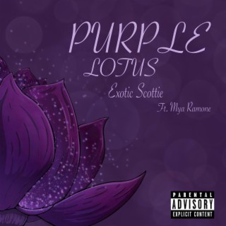 Purple Lotus