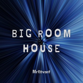 Big Room House