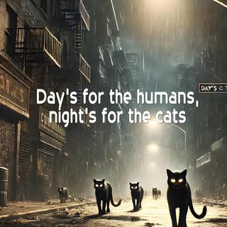 Day's for the humans, night's for the cats