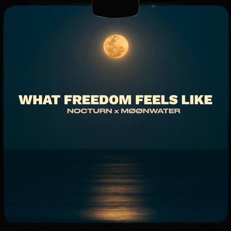 What Freedom Feels Like ft. NOCTURN | Boomplay Music