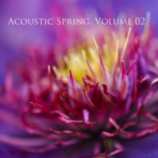 Acoustic Spring, Volume 02