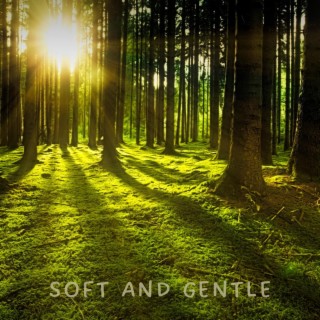 Soft and Gentle
