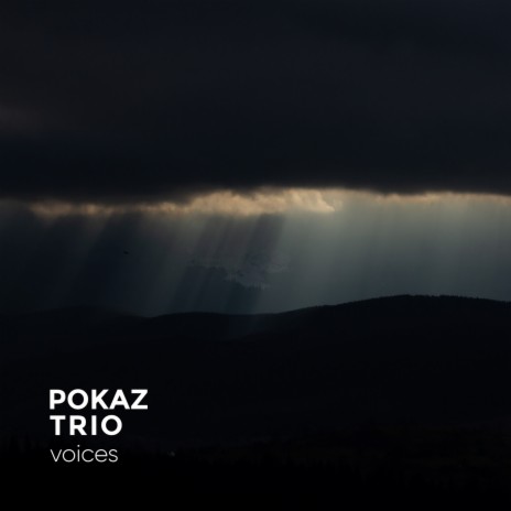 Voices | Boomplay Music