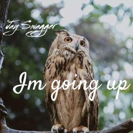 I’m Going Up | Boomplay Music