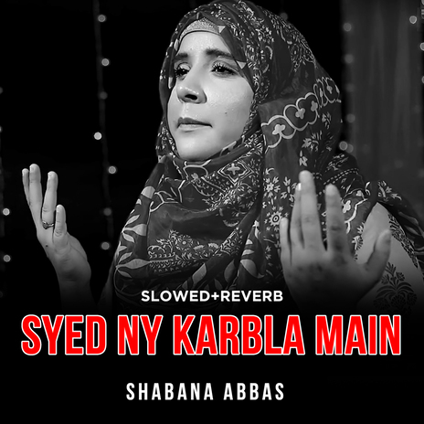 Syed Ny Karbla Main (Lofi-Mix) | Boomplay Music