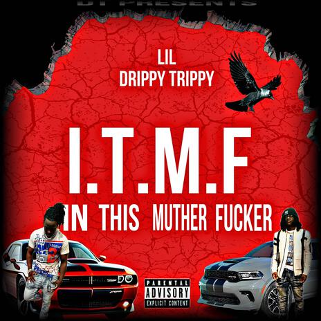 ITMF | Boomplay Music