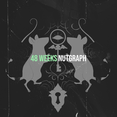 48 Weeks | Boomplay Music