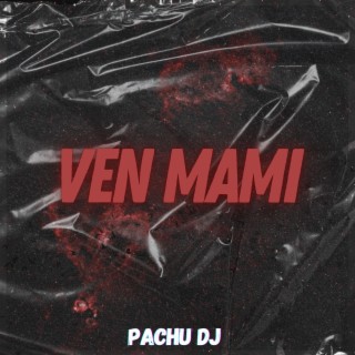 VEN MAMI (Remix)