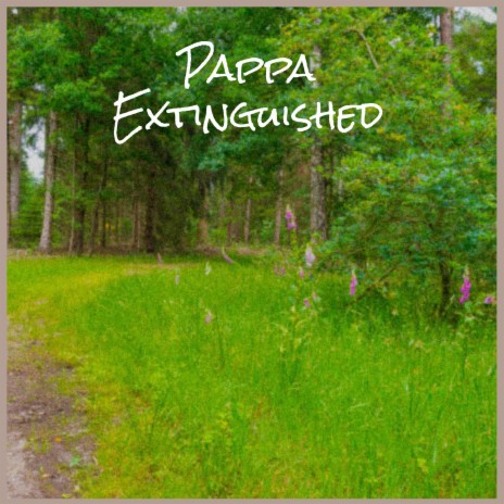 Pappa Extinguished | Boomplay Music