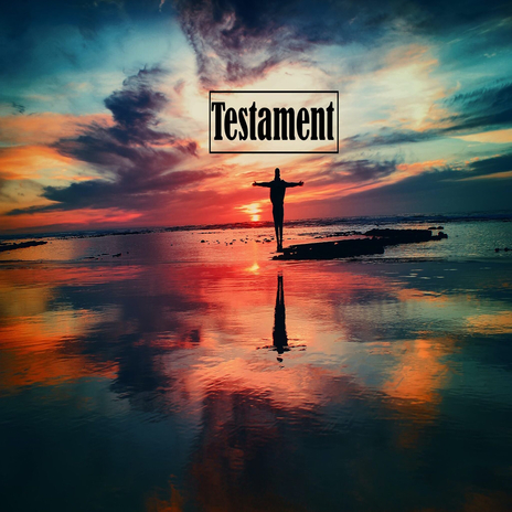 Testament | Boomplay Music