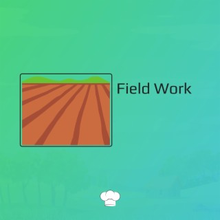 Field Work