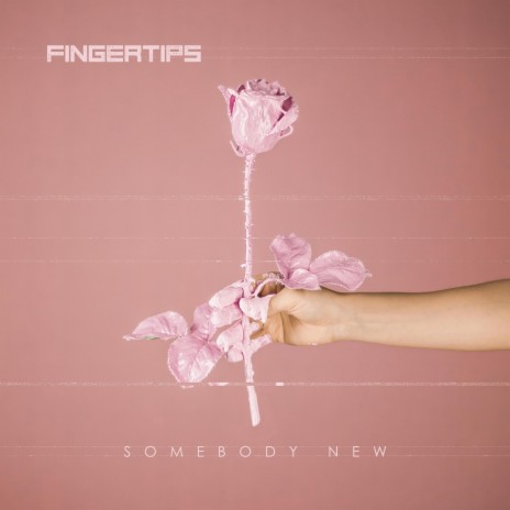 Somebody New | Boomplay Music